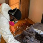 crime scene cleaners