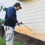pest control