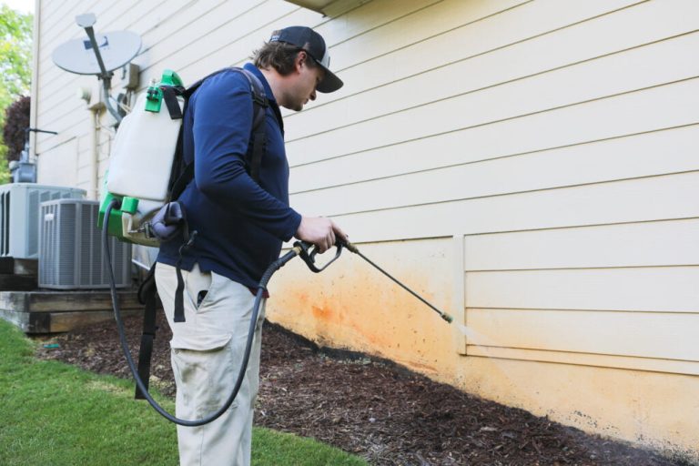 pest control