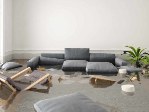 Insurance Repair Specialists in Tacoma WA