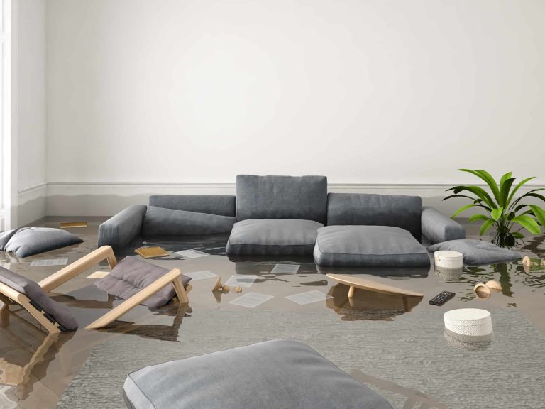 Insurance Repair Specialists in Tacoma WA