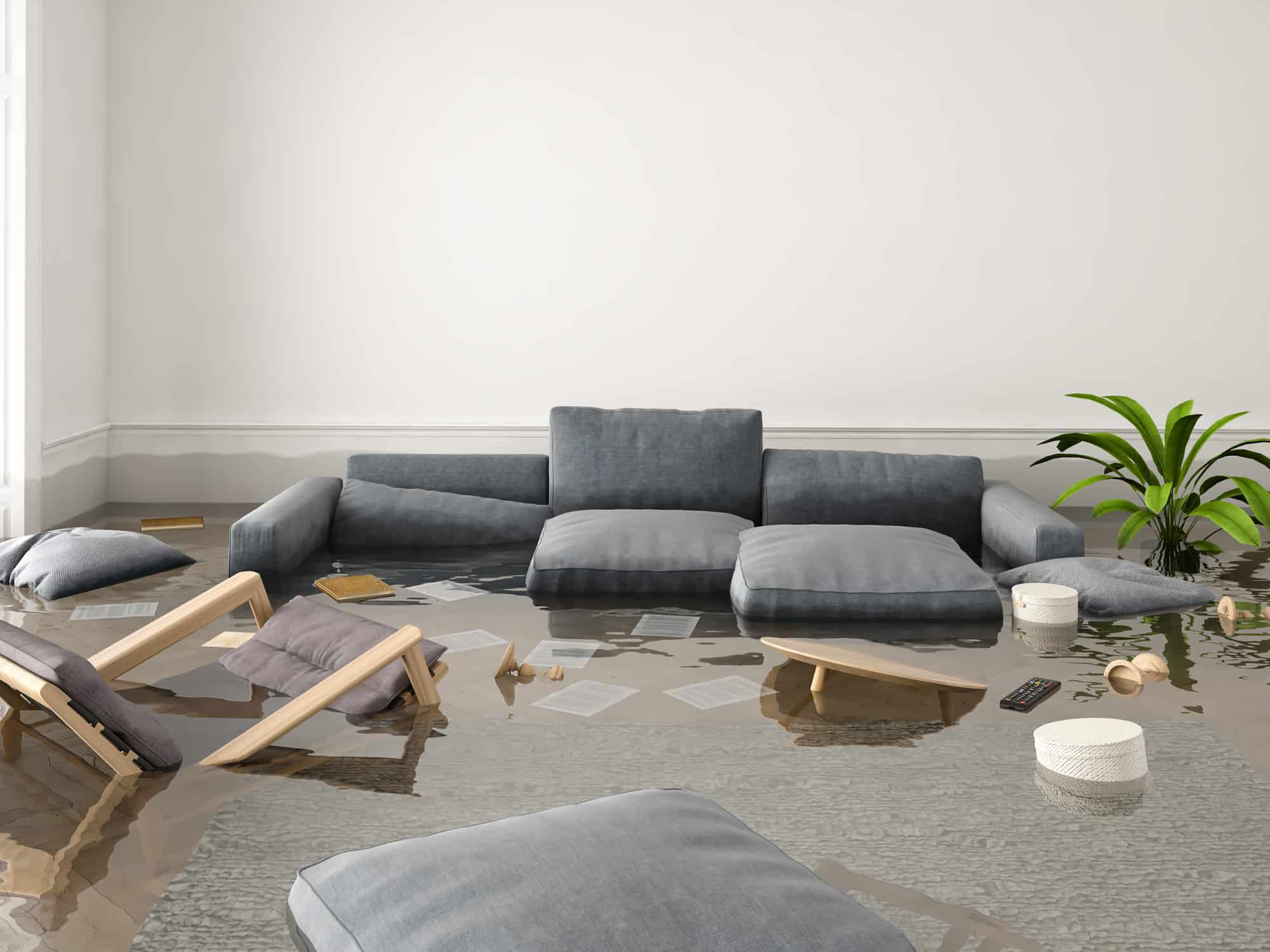 Insurance Repair Specialists in Tacoma WA