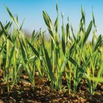 food plot accessories