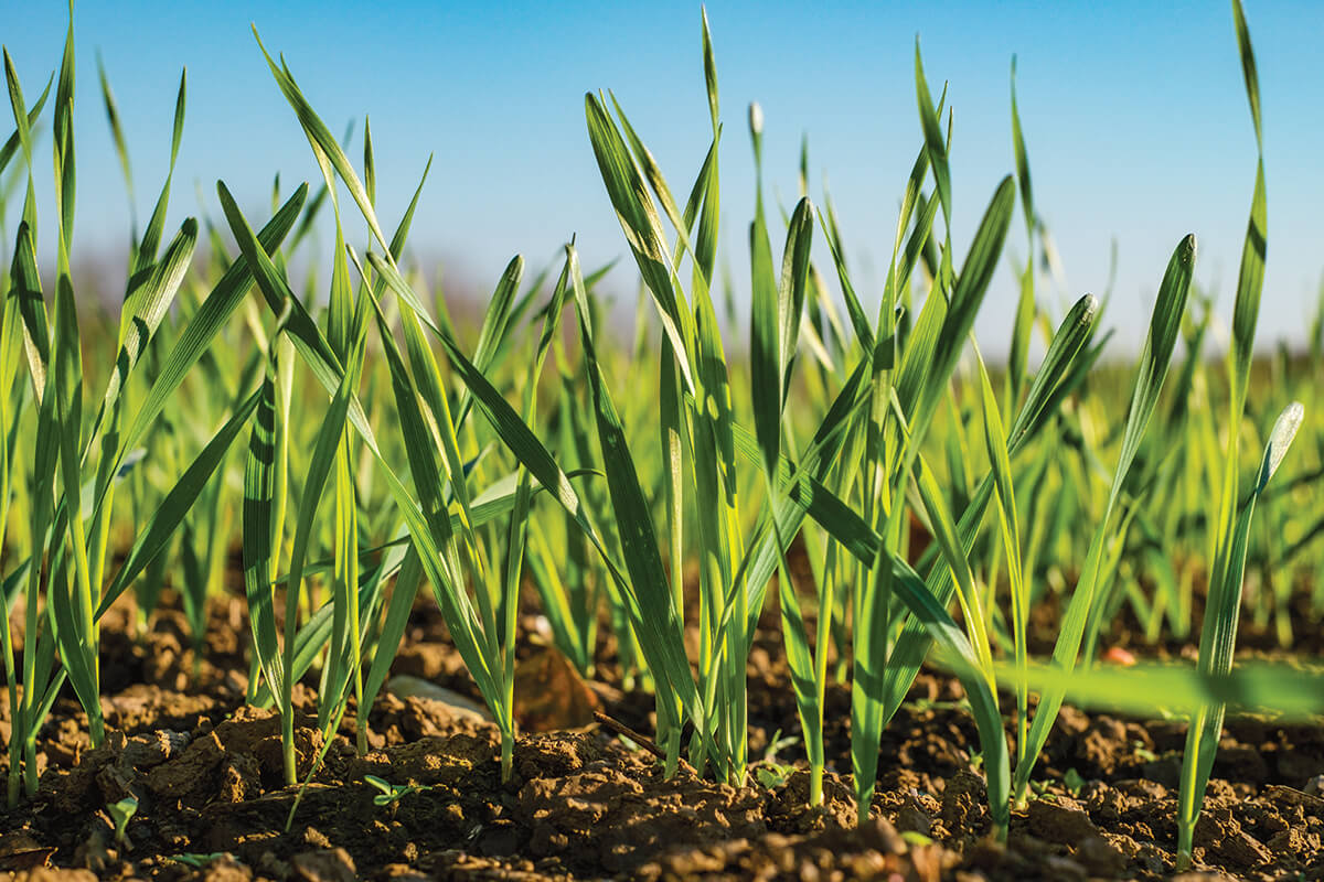 food plot accessories