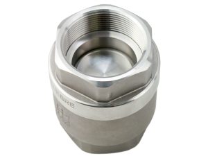 What Are Check Valves, and What Are They Used For?
