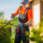 Top Three Tree Care And Services You Need