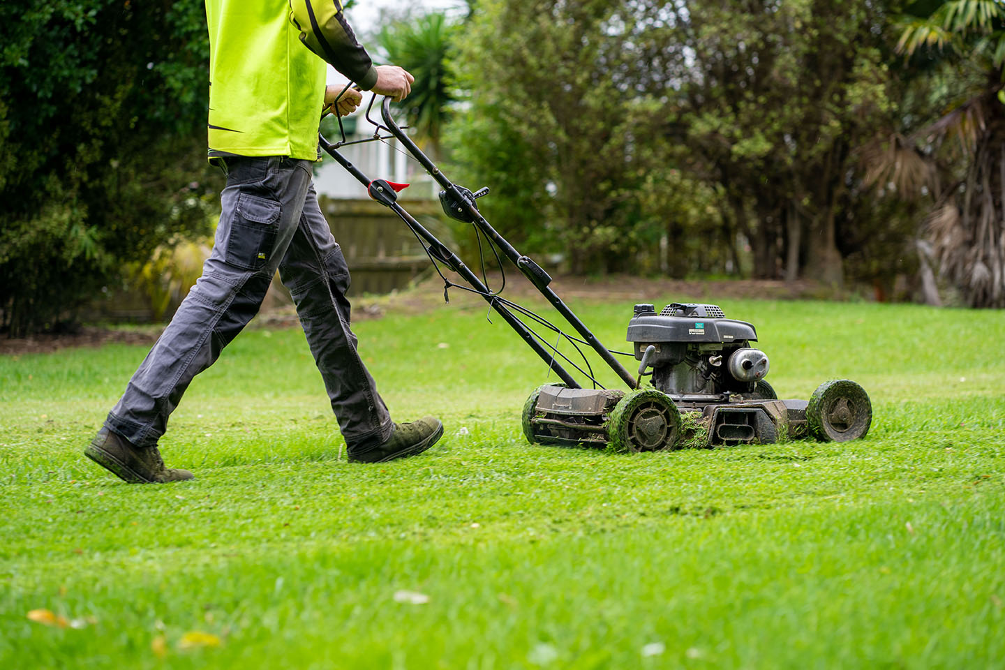 lawn service Nampa
