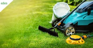 lawn care near me