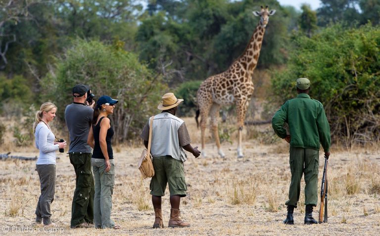 Understanding the Health Risks Associated with Wildlife in Residential Properties