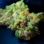 best place to buy thca flower