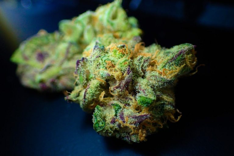 best place to buy thca flower